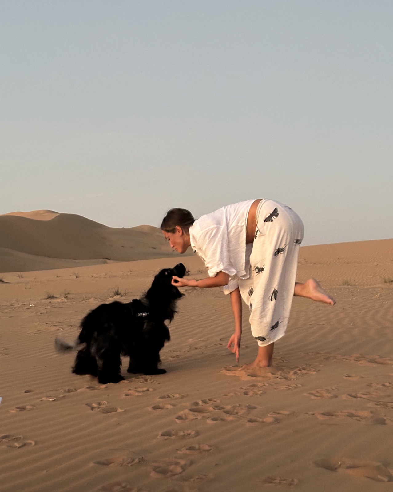 Anna in a standing balance pose with her dog at sunset on the dunes